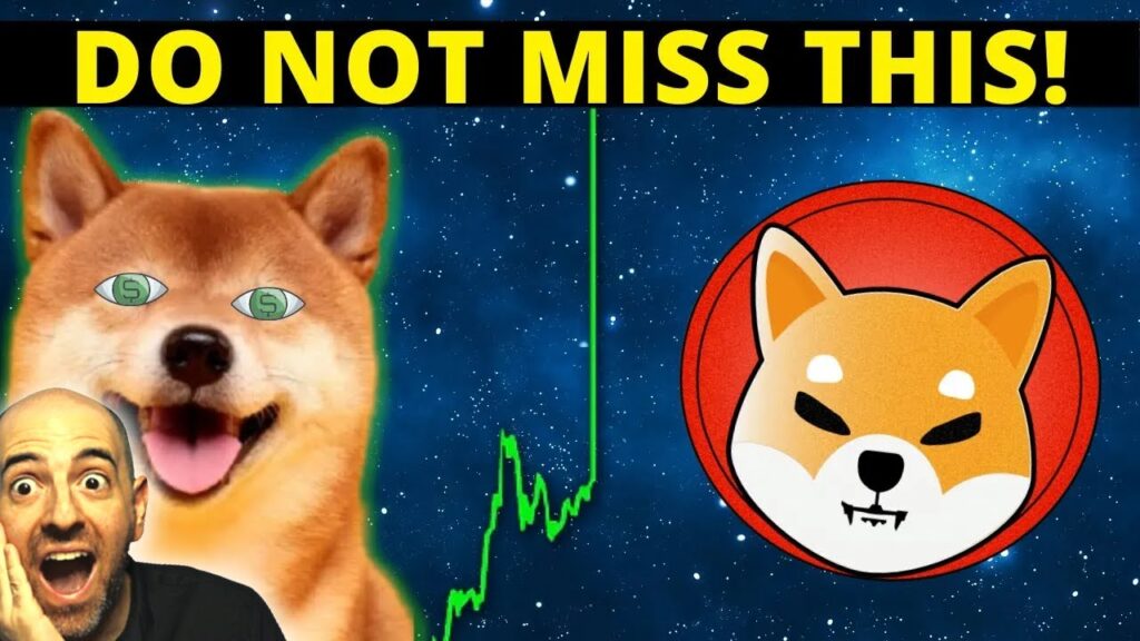 ATTENTION SHIBA INU HOLDERS! THIS WEEK COULD BE MASSIVE!!!